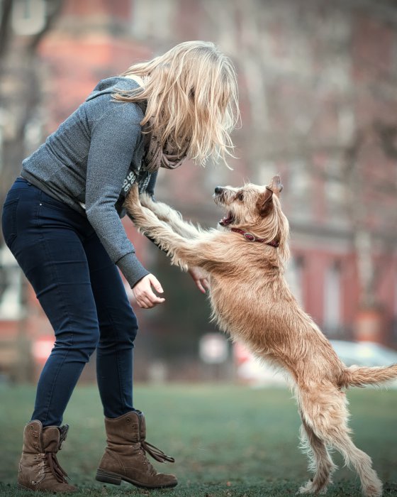 ellenium Photography Hundefotografie Berlin Charlottenburg Wilmersdorf